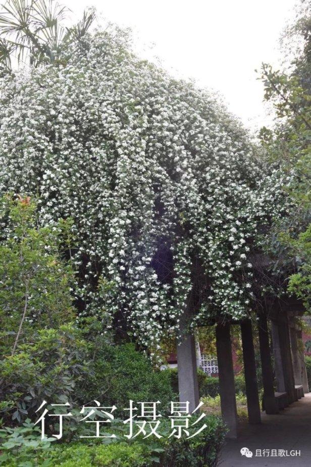 脑洞小老弟无实名认证