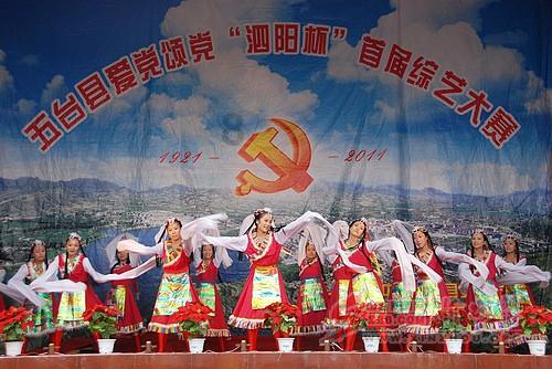 加入这种龟叫什么,什么种类的?,探索无限知识星球!